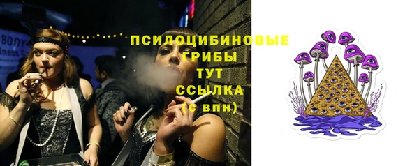тгк Переславль-Залесский
