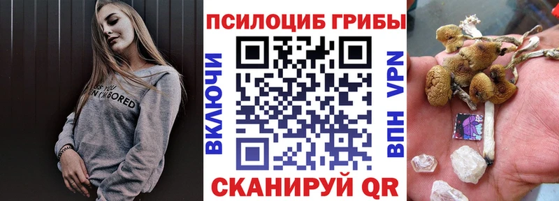 Псилоцибиновые грибы ЛСД  Губкин 